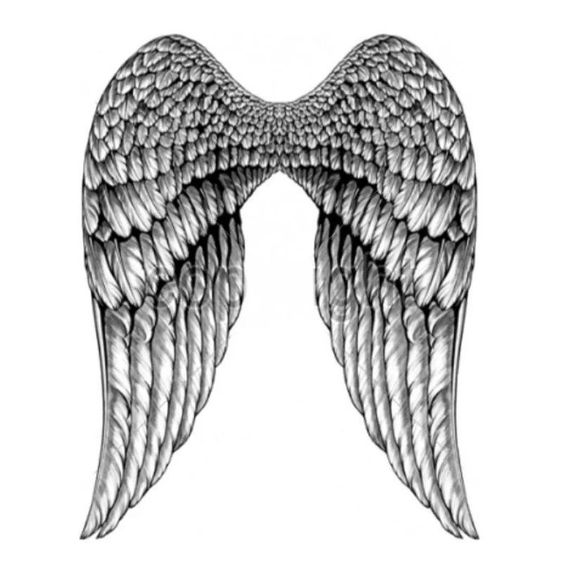 ANGEL WINGS (1067)