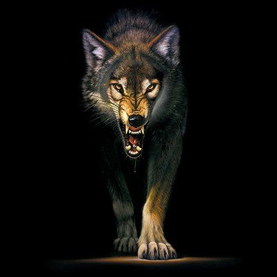 CLASSIC HUPPARI musta - STALKING WOLF - Image 2