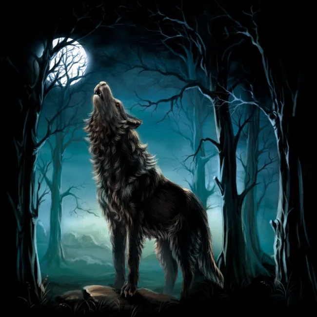 CLASSIC HUPPARI musta - WOLF & MOON (00 337) - Image 2
