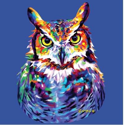 CLASSIC HUPPARI ROYAL - GREAT HORNED OWL (857) - Image 2