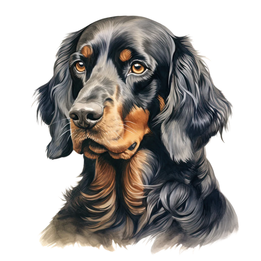 Gordon Setter / Gordoninsetteri DogBreeds 018