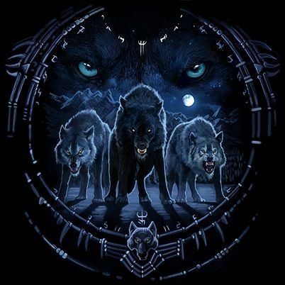 HIHATON PAITA MUSTA - WOLF TRIBAL (1082) - Image 2