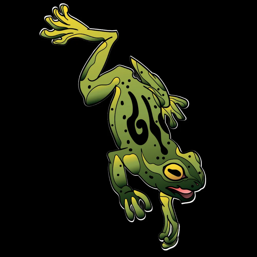 HIHATON T-PAITA MUSTA - Frog Vibes (00 759) - Image 2