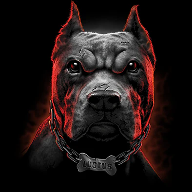 HUPPARI MUSTA - LUCTUS DOBERMAN (965) - Image 2