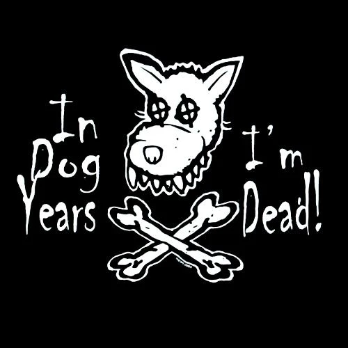 IN DOG YEARS (449)
