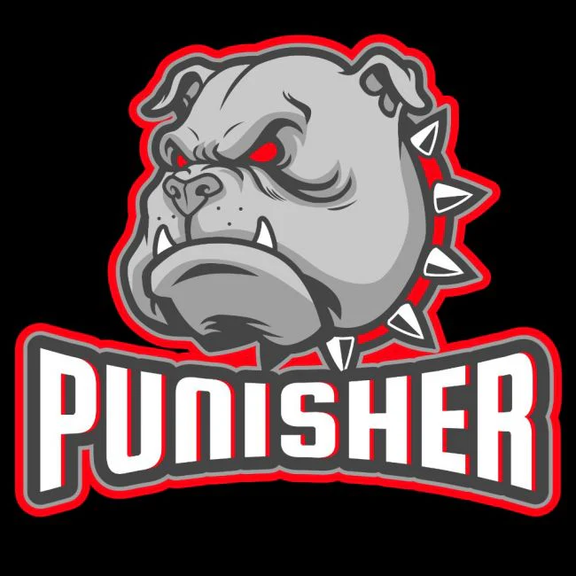 KALSARIT - PUNISHER (2866) - Image 2
