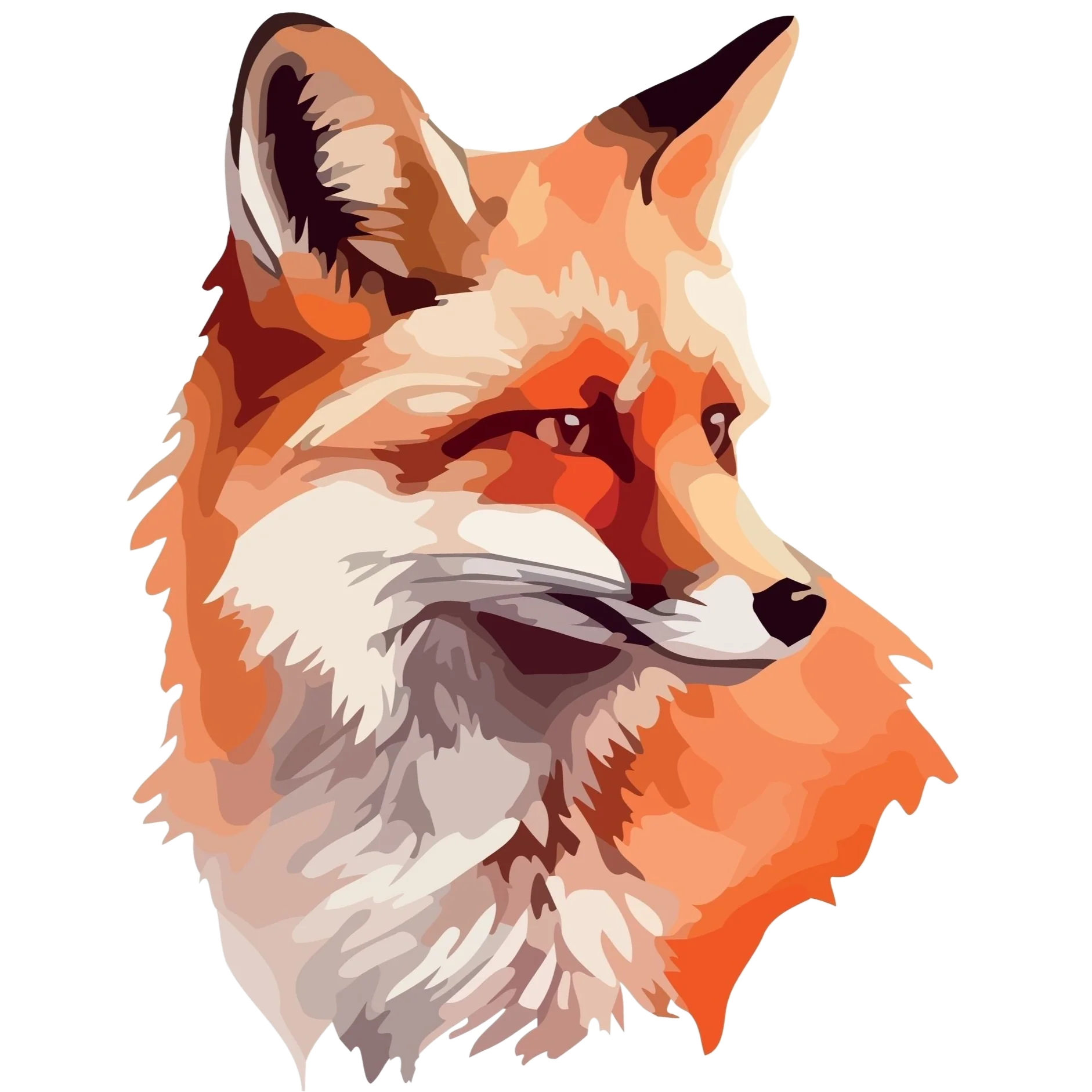 KETTU (00 2789)