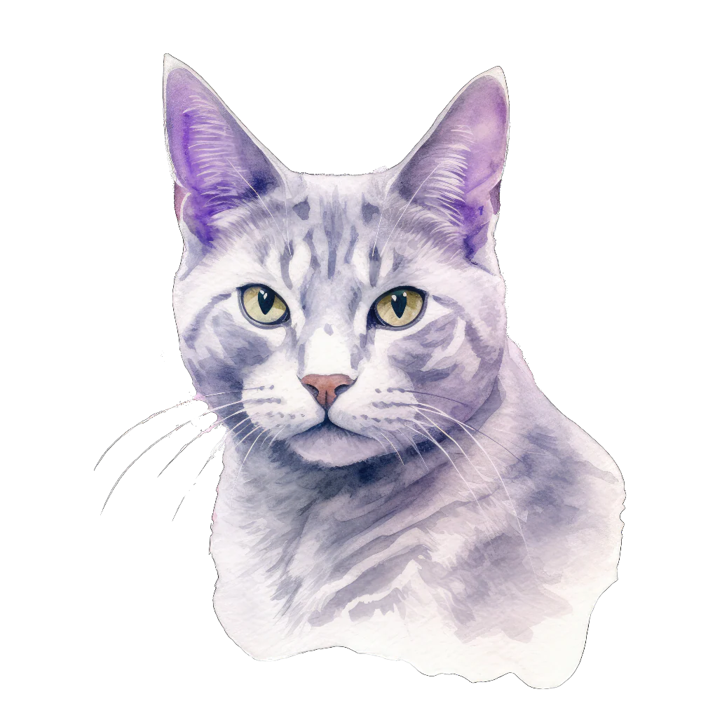 PAINATUS - Thai lilac cat