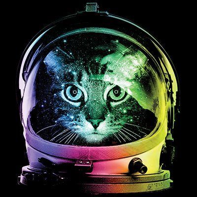 NAISTEN CLASSIC HUPPARI MUSTA - SPACE CAT (863) - Image 2