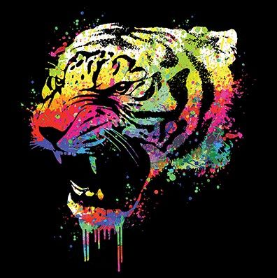 NAISTEN PITKÄHIHAINEN PAITA PINETA musta - TECHNICOLOR TIGER (420) - Image 2