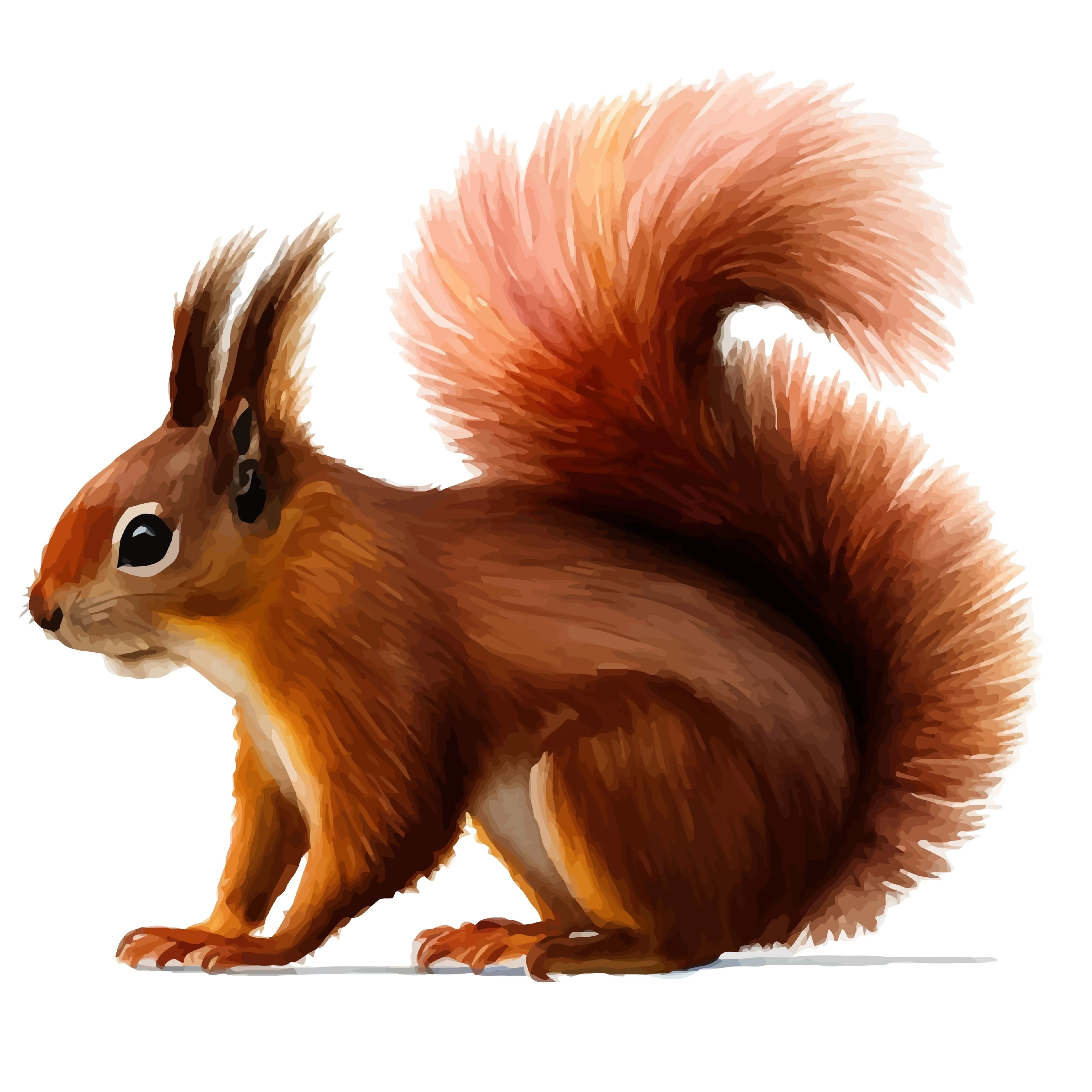 ORAVA (00 2786)