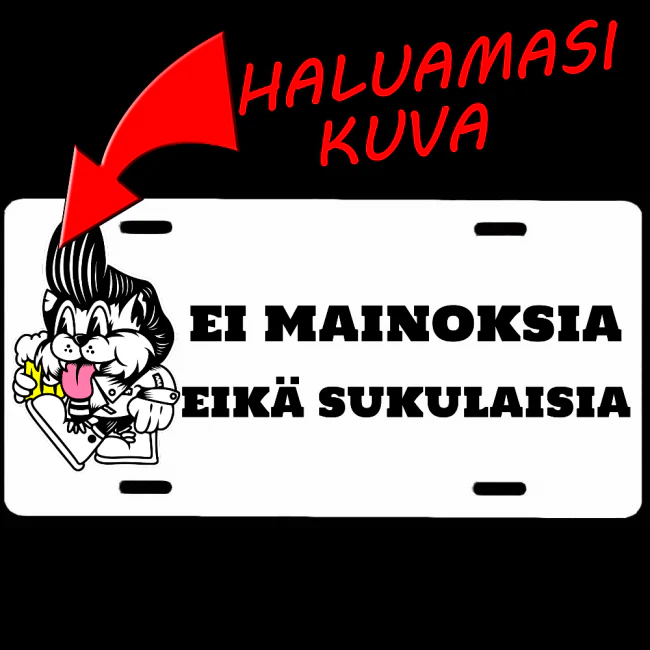Pikkukuva 1