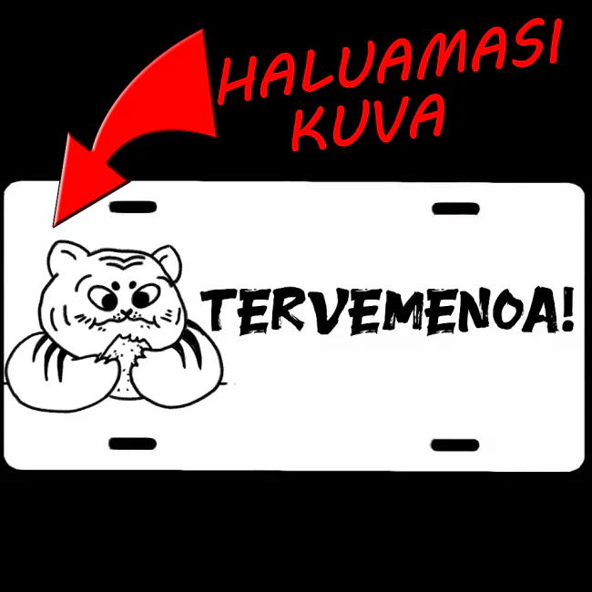 Pikkukuva 1