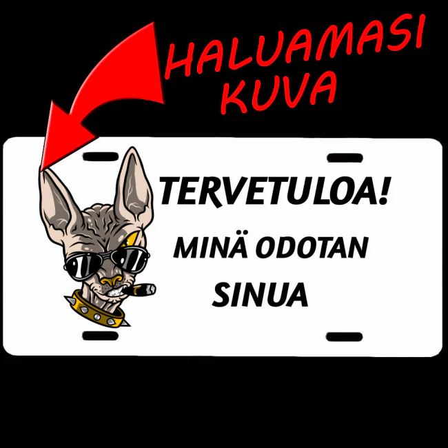 Pikkukuva 1