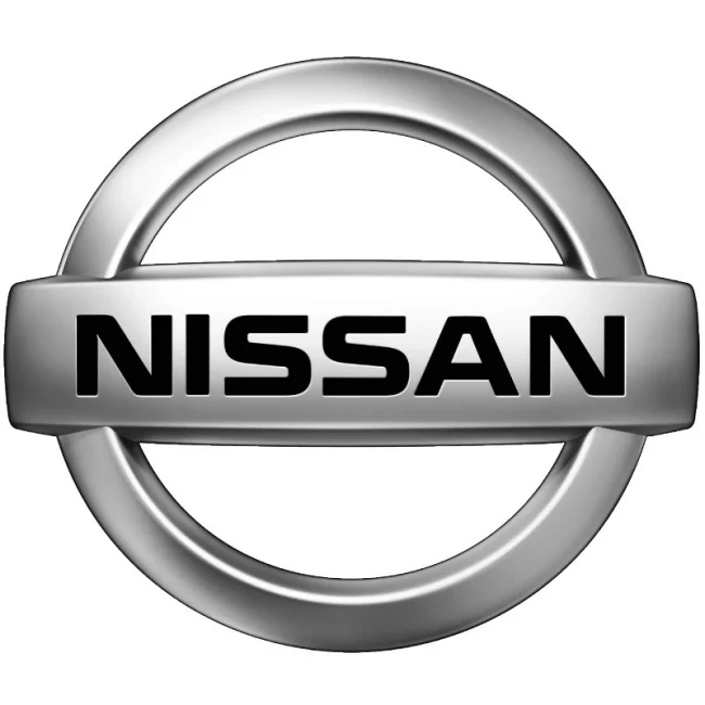 Painatus - Nissan (00 730)