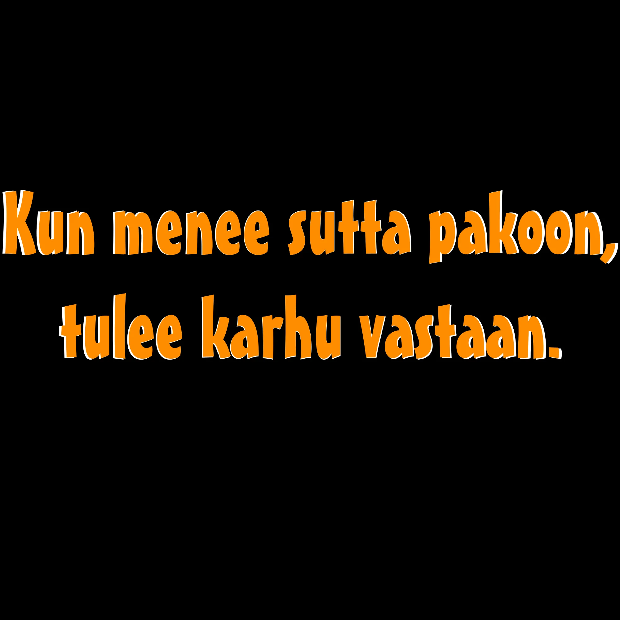 PAITAKUVA - Kun menee sutta pakoon, tulee karhu vastaan. (5036)