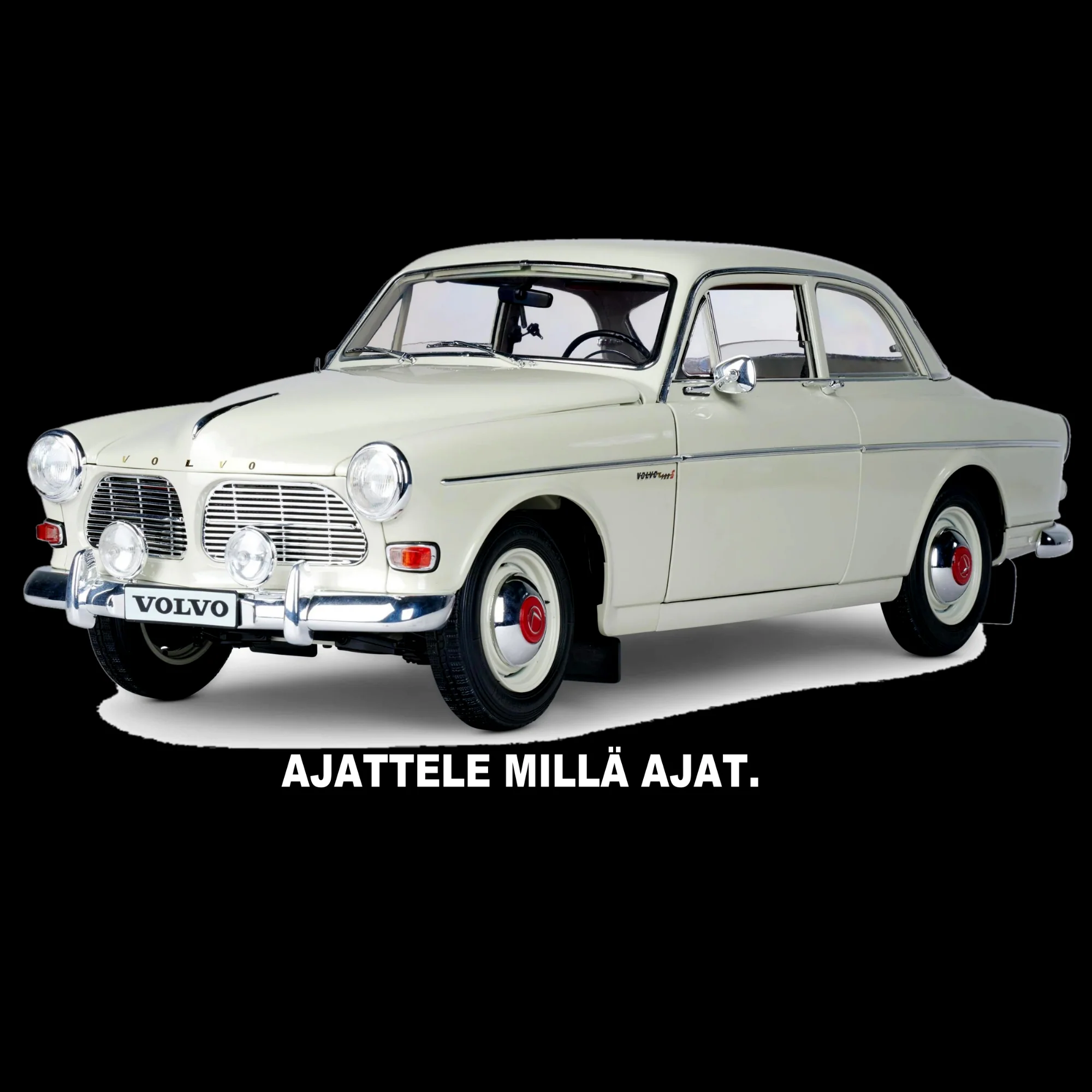 PAITAKUVA - VOLVO AMAZON (00 219)