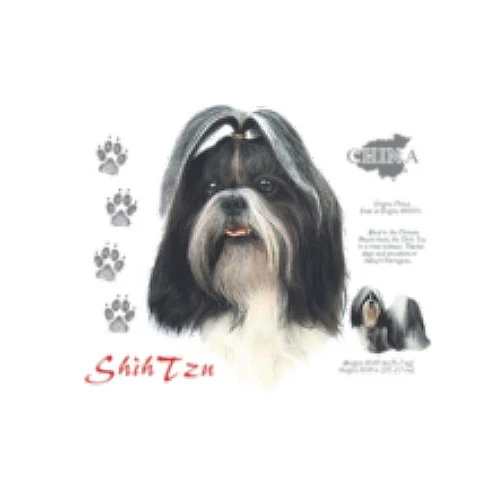 SHIH TZU (13750)
