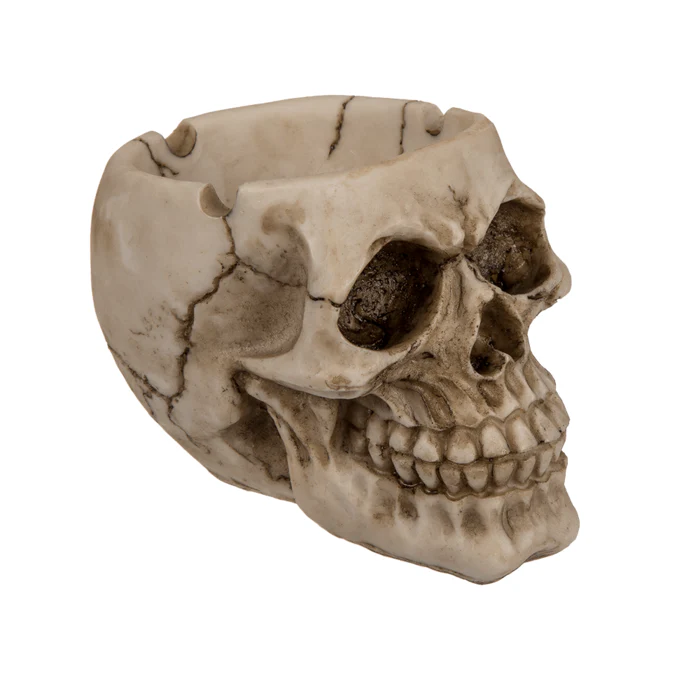 Skull Keeper â Koristekulho - Image 3