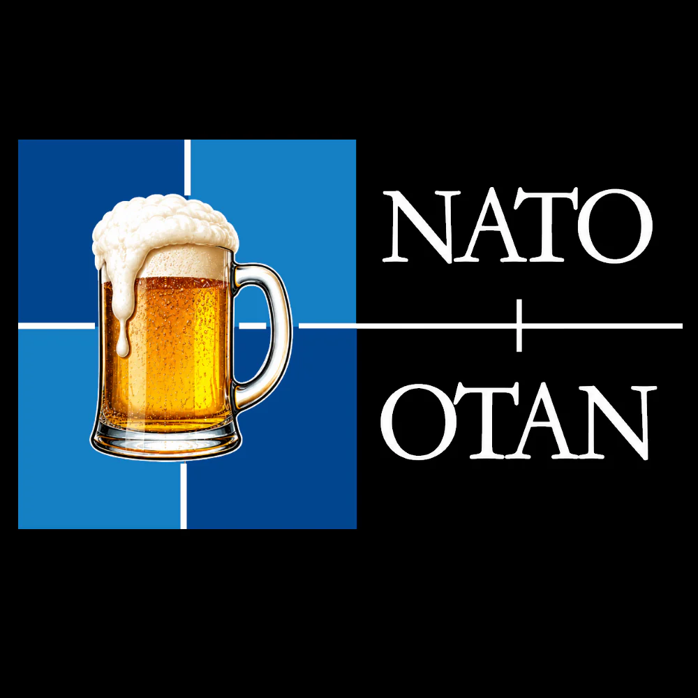 T-PAITA - NATO OTAN KALJATUOPPI (00 842) - Image 2
