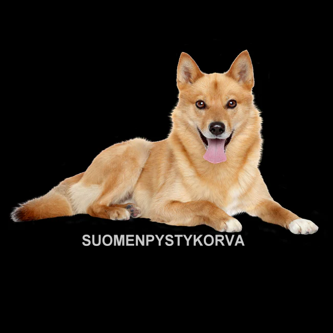 T-PAITA - SUOMENPYSTYKORVA (00 3033) - Image 4