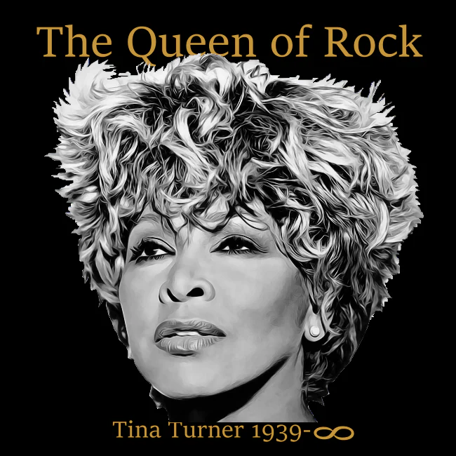 T-PAITA - TINA TURNER the queen of rock (00 3011) - Image 3
