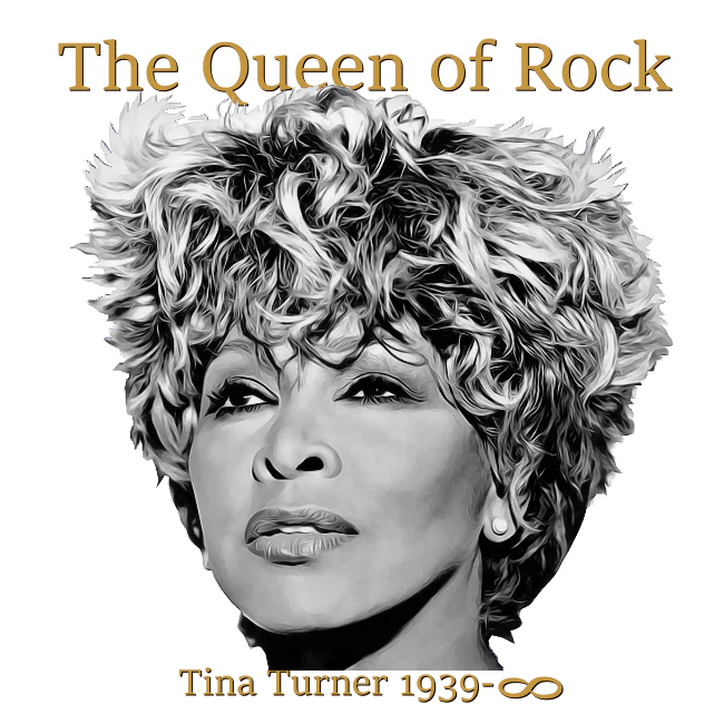 T-PAITA - TINA TURNER the queen of rock (00 3011) - Image 4